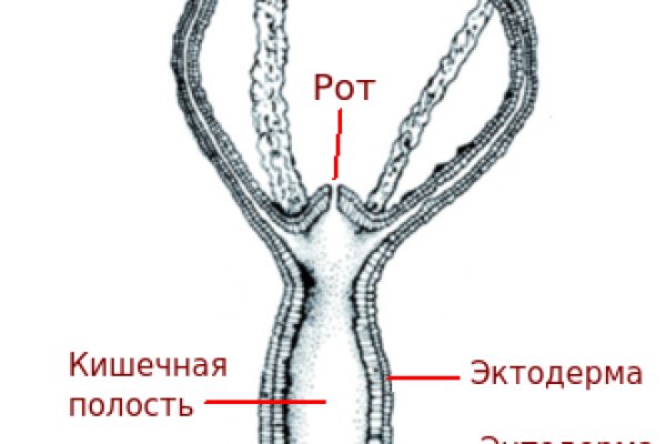 Кракен русский