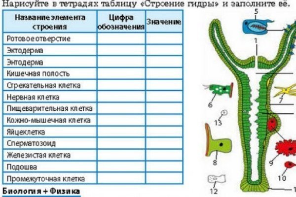 Кракен магазин тор